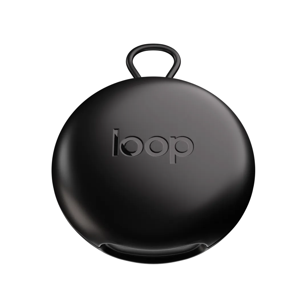 Loop Switch 2 oppbevaringsetui svart ekstra skall
