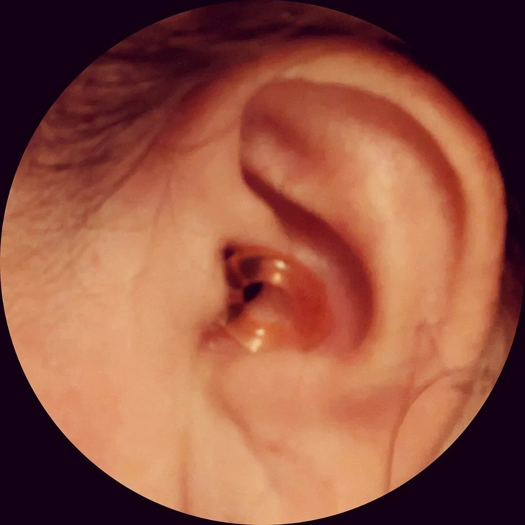 Loop Foam Ear Tips + Mute skum