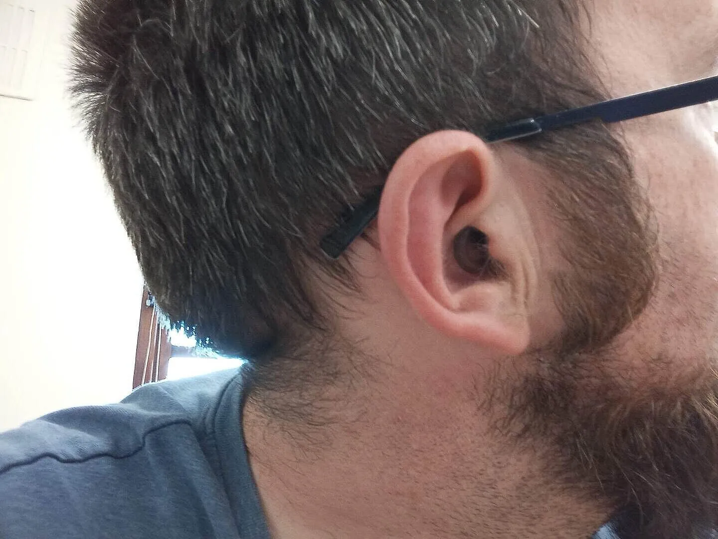 Loop Foam Ear Tips + Mute skum